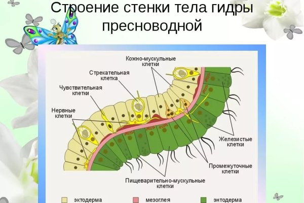 Оригинальные ссылки кракена