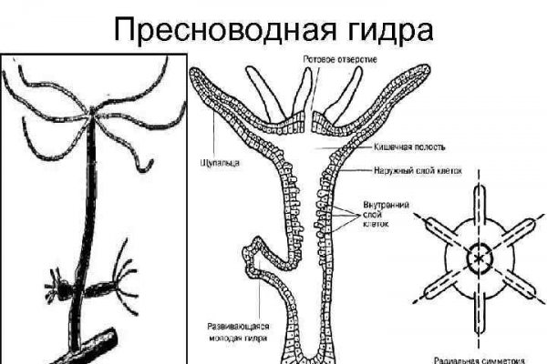 Магазин даркнета