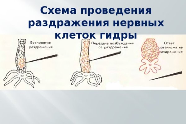 Зеркала сайта кракен tor