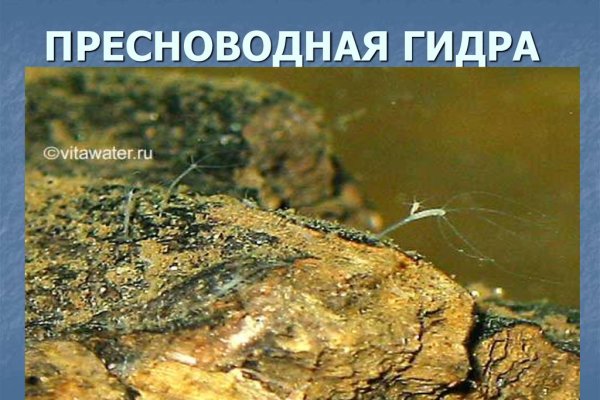 Кракен сайт маркетплейс
