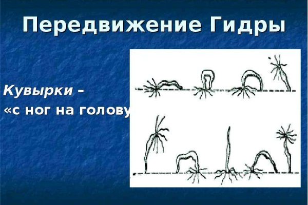 Кракен зеркало тор