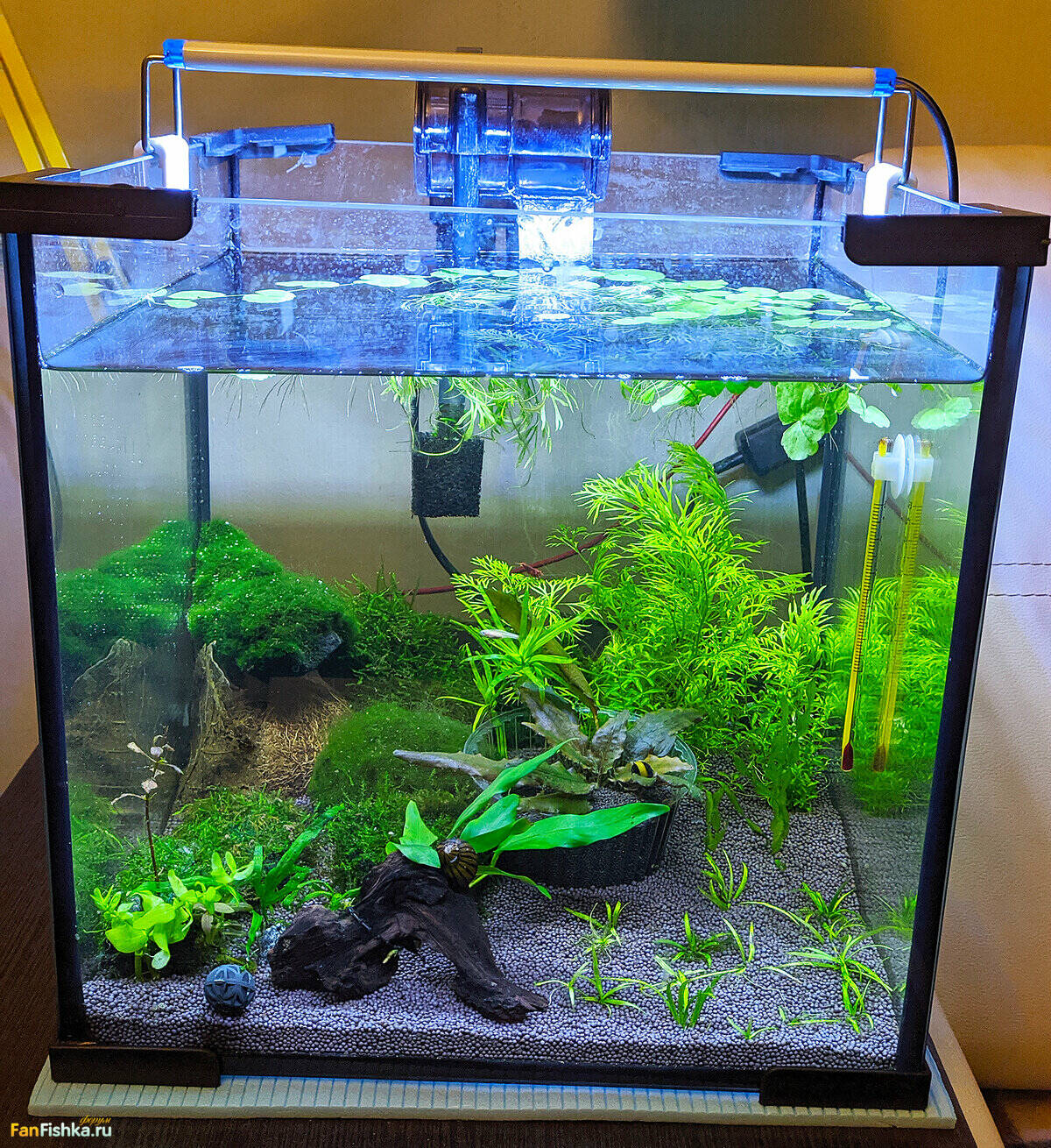Kraken зеркало kraken link top