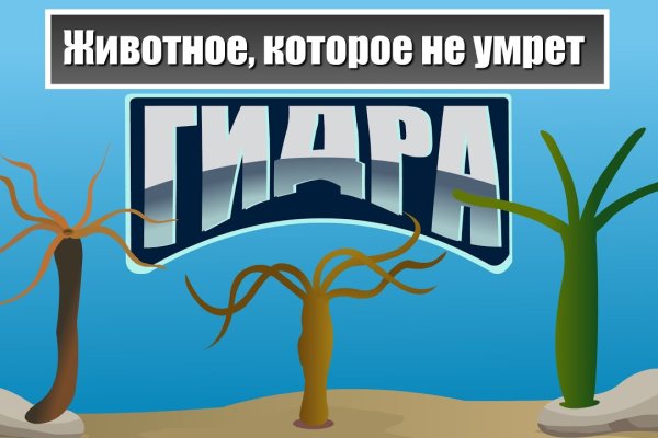 Кракен интернет площадка